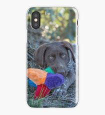 My Puppy Toys... iPhone Case/Skin