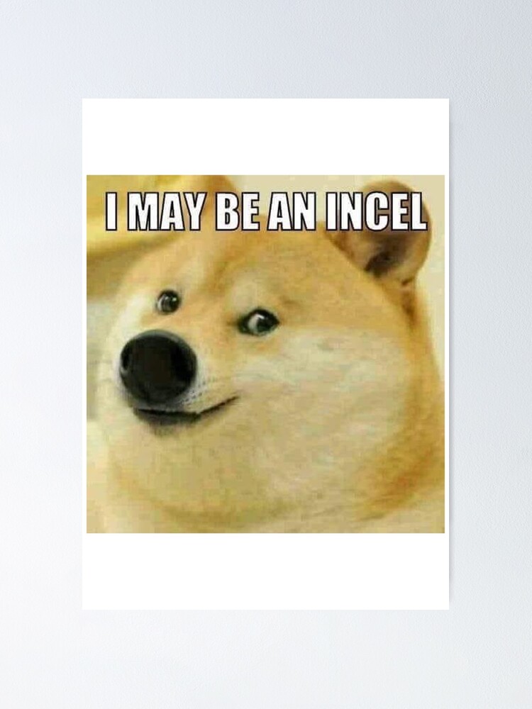 Doge Funny Shiba Inu Dog Douge Meme Bruh Incel Lol Youtube Twitch Gamer Poster