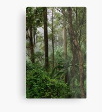 Rainforest Metal Print