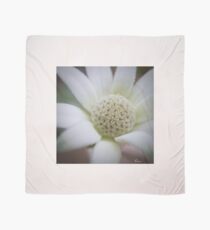 Flannel Flower, Nature's Bliss Ball Scarf