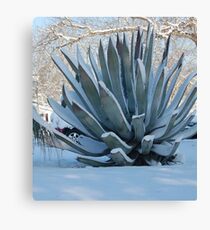 Century Canvas Print
