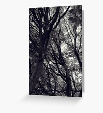 Bower Greeting Card