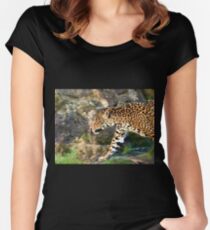 Predator Women's Fitted Scoop T-Shirt