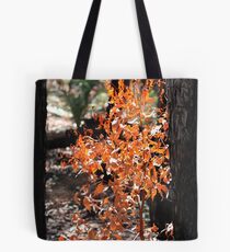 Baby Golden Gum - Serpentine Tote Bag