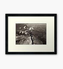 Tree: A Portrait Framed Print