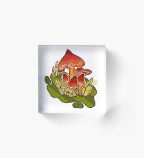 Hygrocybe Conica Acrylic Block