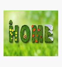 HOME / HOME / Decoration Photographic Print