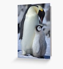 Snowhill Emperor and Chick Greeting Card