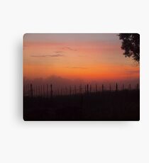 Lienzo sunrise over the vines