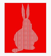 Big Chungus T-shirt, meme Art Shirt & Sticker. Photographic Print