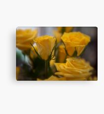 Rose Depth Canvas Print