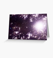 Untitled Greeting Card