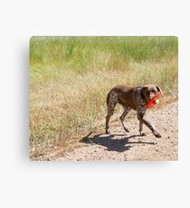 Me, My Shadow & My Toys..... Canvas Print