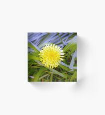 lp13 Acrylic Block