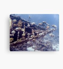 Bow Metal Print