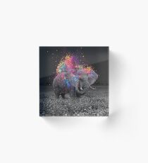 true colors II Acrylic Block