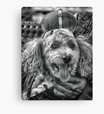 Hund im Urlaub Leinwanddruck