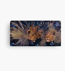 Kindred Lionfish Leinwanddruck