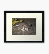 Hope playing Framed Print
