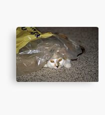Hope playing Canvas Print