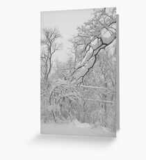 Wisdom and Beauty in Winter Greeting Card