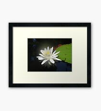 Waterlily with Damselfly Framed Print