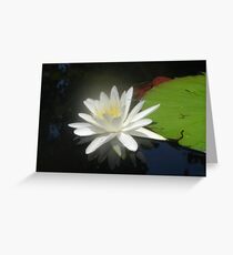 Waterlily with Damselfly Greeting Card