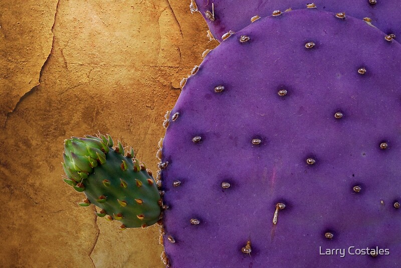 “Purple Prickly Pear” by Larry Costales | Redbubble