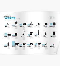 Virtual Water Footprint of Products Poster