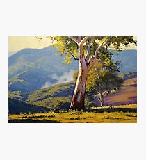 Sleeping Koala Turon Photographic Print
