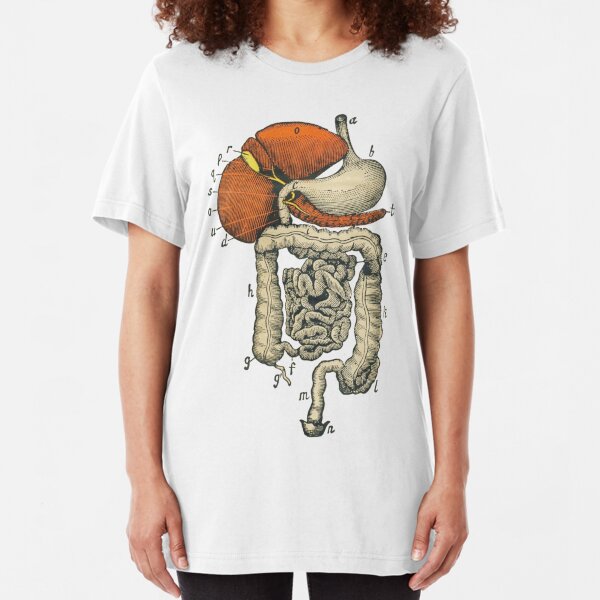 t shirt digestive system