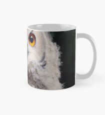 Hallo .. Ich bin ein Eulenbaby von 3 Monaten alt ... Tasse
