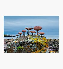 The Seven Photographic Print