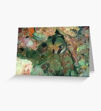 Hiding Masked Porcupine Fish Greeting Card