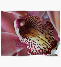 Orchid..Charlie Brown Poster