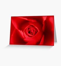my love is like a red red rose .... Greeting Card