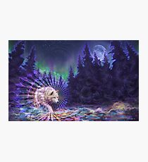 Spirit Wolf Photographic Print