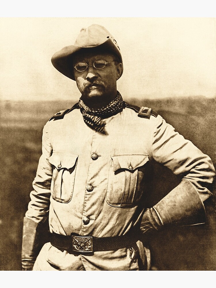 Colonel Theodore Roosevelt by warishellstore