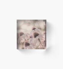 sunlite coneflowers Acrylic Block