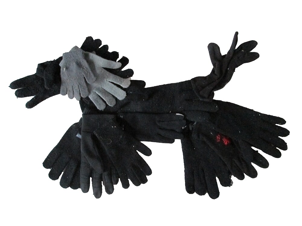 Dynamism of a glove dog by Ruud van Koningsbrugge