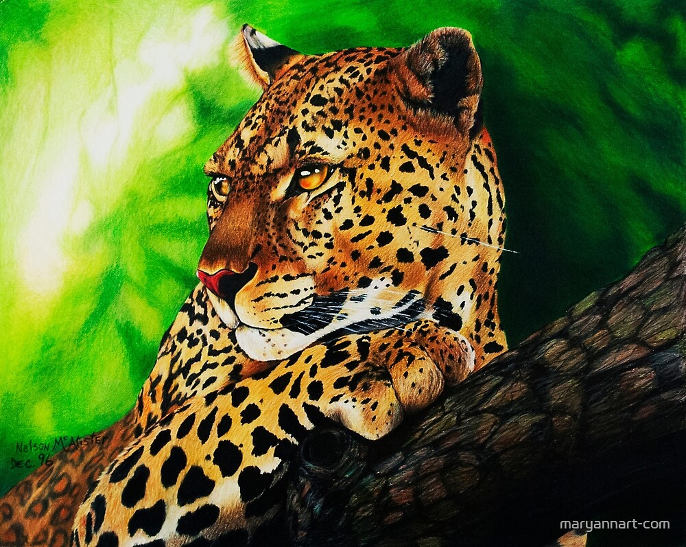 Jaguar by maryannart-com