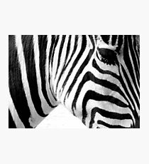 Banding Photographic Print