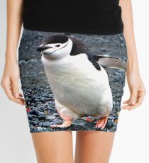 Chinstrap penguins in Antarctica, 10 Mini Skirt