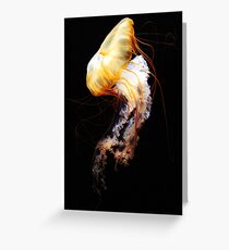 Enigma Greeting Card
