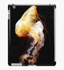 Enigma iPad Case/Skin