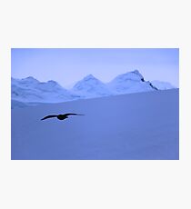 Flying through Antarctica, Serenity Photographic Print