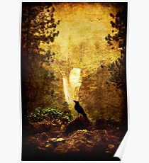 Felt Mountain Poster