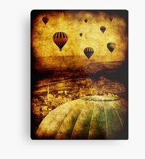 Cerebral Hemisphere Metal Print