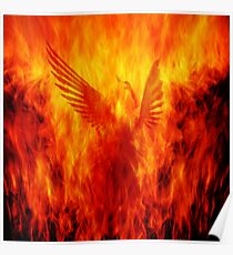 Phoenix Rising Poster