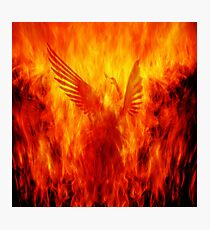 Phoenix Rising Photographic Print
